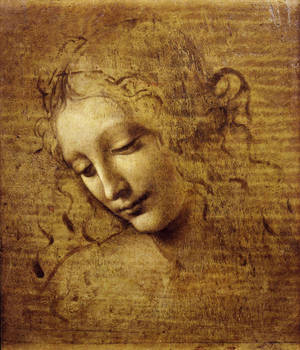 Leonardo Da Vinci Kvindehoved maleri wallpaper — Galaxy Z Fold Wallpapers