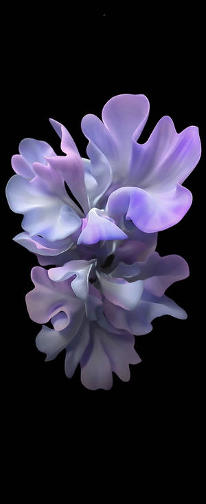 Violet blomsterkunst til Samsung S20 FE — Motorola Razr Wallpapers