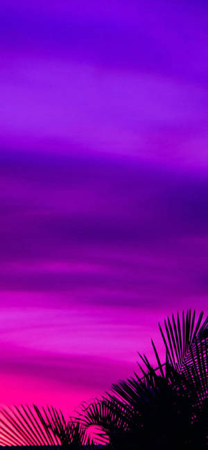 Lilla æstetisk solnedgang telefon — iPhone 17 Wallpapers