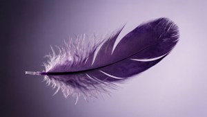 En delikat lilla fjer svævende i luften, let og yndefuld. — Lilla Wallpapers