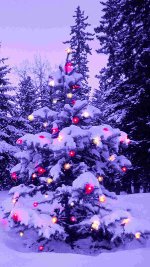 Lilla juletræ iPhone-baggrund — Jule iPhone Wallpapers