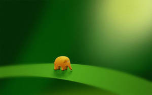 Lille elefant sød skrivebordsbaggrund — Sød skrivebord Wallpapers