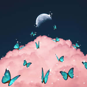 Æstetiske sommerfuglebilleder — Æstetisk sommerfugl Wallpapers