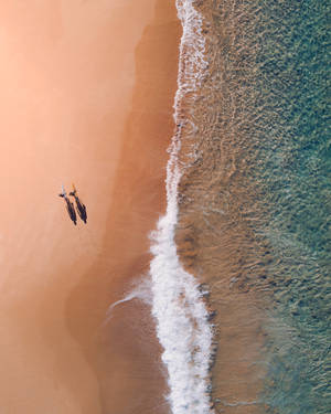 Luftfoto Bondi Beach Australien baggrundsbillede — iPhone 7 Wallpapers