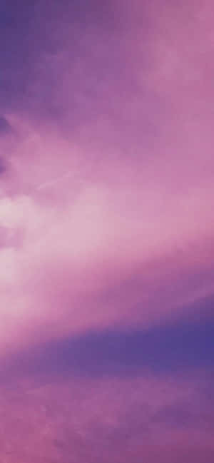 Lilla og pink baggrund — OnePlus Nord CE6 Wallpapers