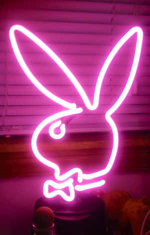 Neonpink æstetiske billeder — Neon pink æstetik Wallpapers