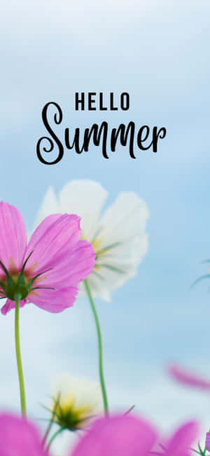 Iphone X Sommerbaggrund — Oppo F31 Pro Wallpapers