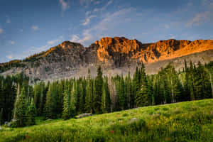 Mac baggrund — MacBook Pro 14 Wallpapers