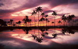 Macbook Air Island Sunset — MacBook Air Wallpapers