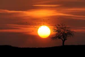 Smukke solnedgangsbilleder — Smuk solnedgang Wallpapers