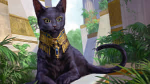 Egyptiske katte billeder — Æstetisk kat Wallpapers