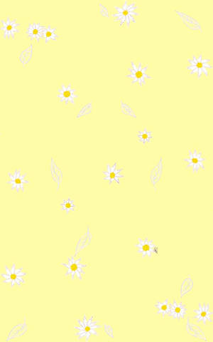 Margueritblomster over sød pastelgul æstetik — Pastelgul æstetik Wallpapers