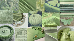 Matcha Salviegrøn Æstetik tapet — Grøn æstetik Wallpapers