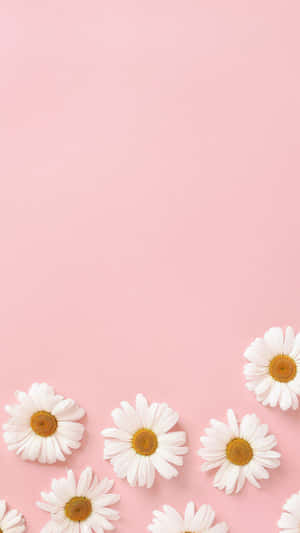 Pastelrosa baggrund — Pastel pink æstetik Wallpapers