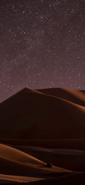 1284x2778 — 1284x2778 Wallpapers
