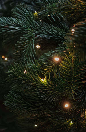 Mørk julescene — IQOO Pad5 Pro Wallpapers