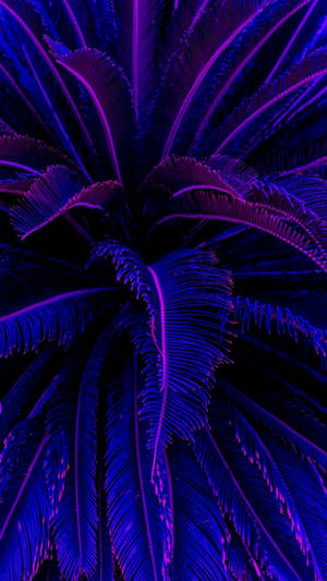 Mørk lilla æstetiske kokospalmer — Mørk lilla æstetik Wallpapers