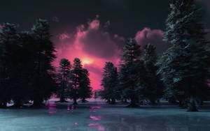 Mørk skov solnedgang desktop — Mørk skov Wallpapers