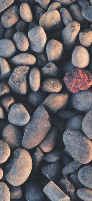 Aesthetic Iphone Xr — Galaxy A37 Wallpapers