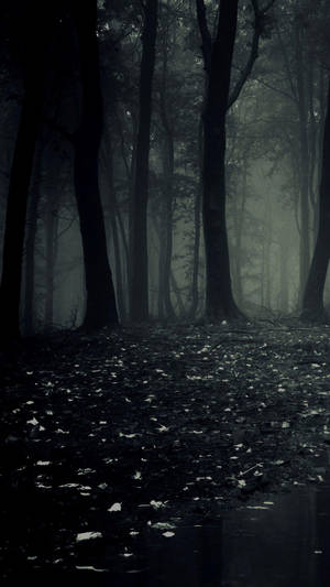 Mørk Telefon Skræmmende Skov — Mørk telefon Wallpapers