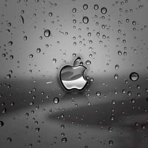 Mørkt sød iPad