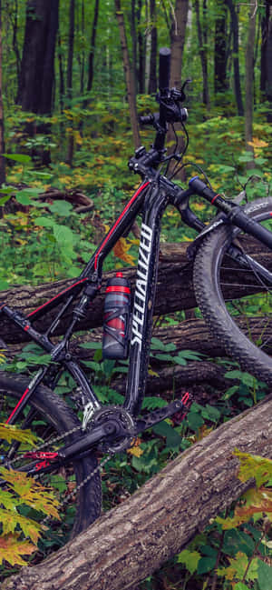 Mountainbike iPhone — Vivo V60e Wallpapers