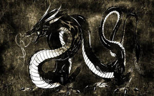 Mystisk sort skællet japansk dragekunst — Japansk drage Wallpapers