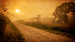 sepia-fotografi af grusvej — Tåget skov Wallpapers