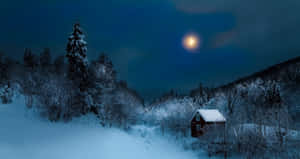 Natmånebilleder