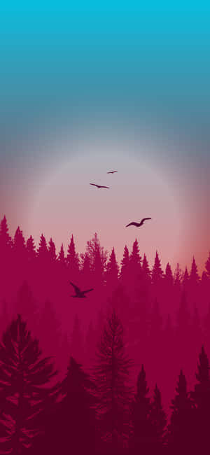 Night Forest — Pixel 8 Wallpapers