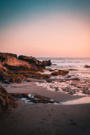 Naturbaggrund — Vivo Pad Wallpapers