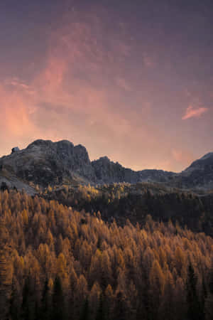 Naturbaggrund — Vivo Pad Wallpapers