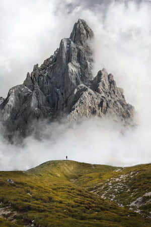 Naturbaggrund — Vivo Pad Wallpapers