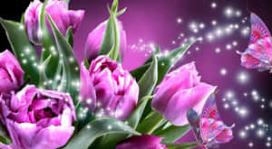Smukke blomsterbilleder