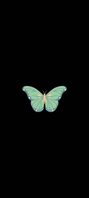 Grøn Sommerfugl — Pixel 9 Wallpapers
