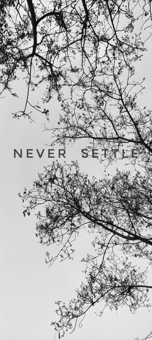 Never Settle Hvid Sort Træ — iPhone 14 Pro Wallpapers