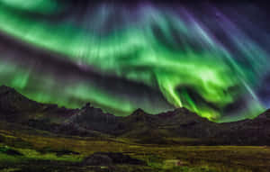 Mørkegrønne æstetiske billeder — MacBook Pro 16 Wallpapers