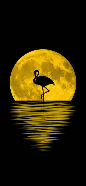 Note 10 Plus Flamingo Moon baggrund — Pixel 10 Pro Wallpapers
