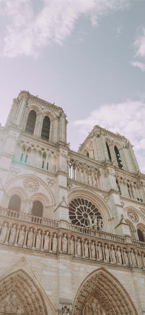 Notre Dame katedralens frontarkitektur — Vivo V60 Wallpapers