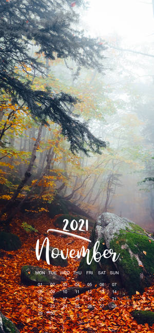 November 2021 Kalender tåget skov baggrund — iPhone 13 Pro Max Wallpapers