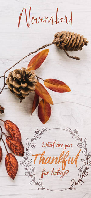 November Taknemmelig For I Dag baggrundsbillede — iPhone 14 Plus Wallpapers