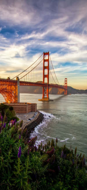 iPhone X Californien baggrund — Redmi K90 Pro Max Wallpapers