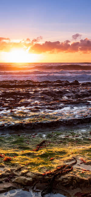 iPhone X Californien baggrund — Redmi K90 Pro Max Wallpapers