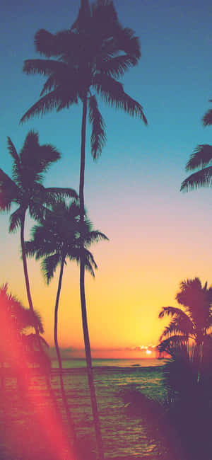 iPhone X Californien Baggrund — Honor Play 70C Wallpapers