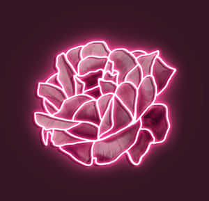 Neonlyserød æstetiske billeder — Neon pink æstetik Wallpapers