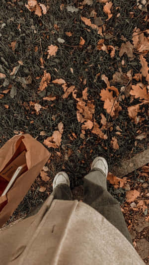 Aesthetic Brown billeder — Lysebrun æstetik Wallpapers