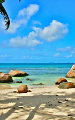 Beach Telefon — Galaxy Tab S10 Lite Wallpapers