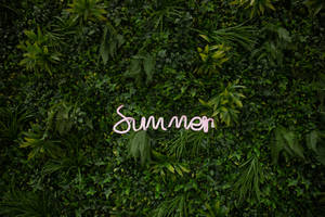 Sommerinskription på grøn bladbaggrund, giver afslappet stemning. — Sommer Wallpapers