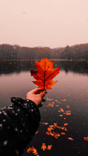 Efterårsæstetisk baggrund — Efterår Wallpapers