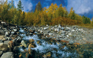 Fantastisk flod med talrige sten baggrundsbillede — Sommer Wallpapers